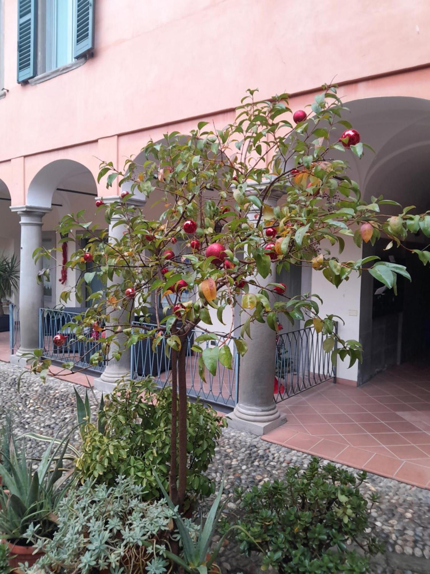 La Corte Dei Cappuccini Bergamo Exteriör bild